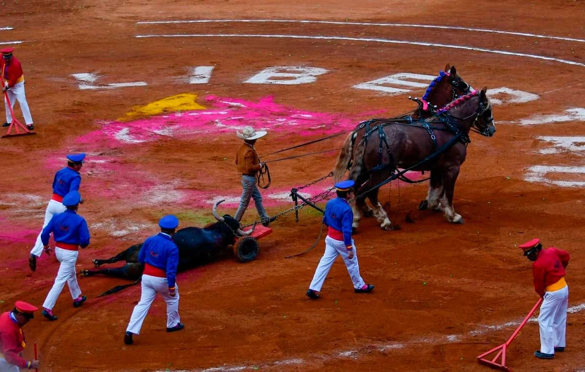 Impugna Plaza México suspensión de corridas de toros