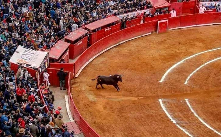 Se reanudan corridas en Plaza de Toros