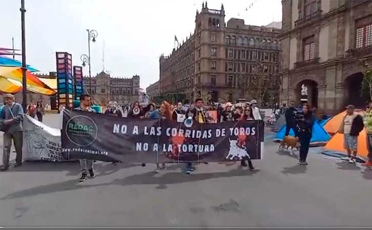 Defensores de animales alistan amparos contra corridas de toros