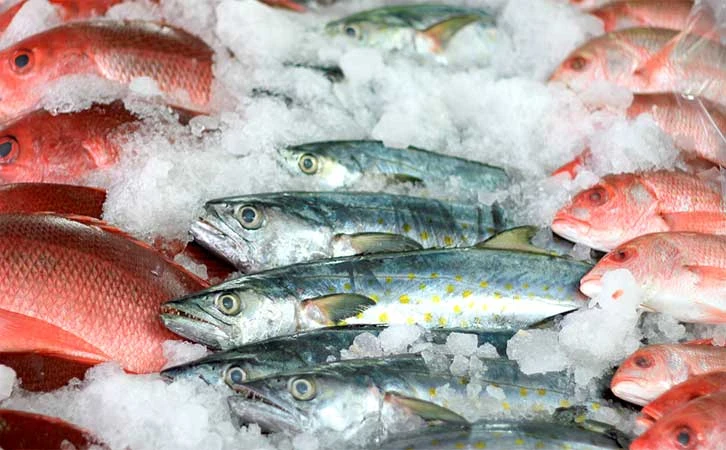 Aumenta hasta 75% costo de pescados en cuaresma