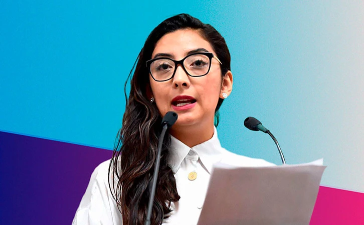 Por violencia política, expanista Ana Villagrán presentará denuncia ante el INE