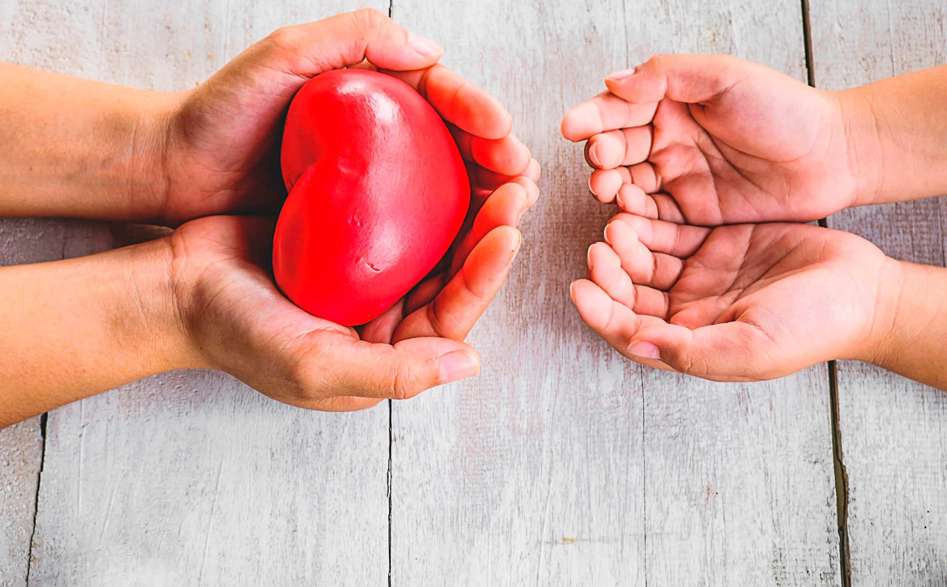 Donación de órganos, proponen registrar voluntad en licencia de conducir