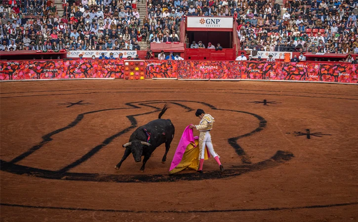 Cerrarán Congreso de CDMX para exigir prohibición de corridas de toros