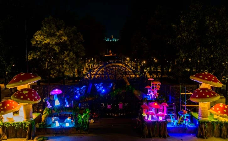Bosque de Chapultepec realiza Festival Spora 2025